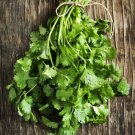 100 seeds cilantro/coriander fiesta green kitchen garden culinary herb non-gmo