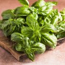 1500 seeds sweet basil ocimum basilicum herb white flower *flat s/h