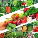 seeds vegetable herb garden variety lot ~over 7,200 fresh ~53 varieties ~non gmo