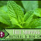 seeds 3,000 spearmint | perennial container herb gardening seed, mentha spicata