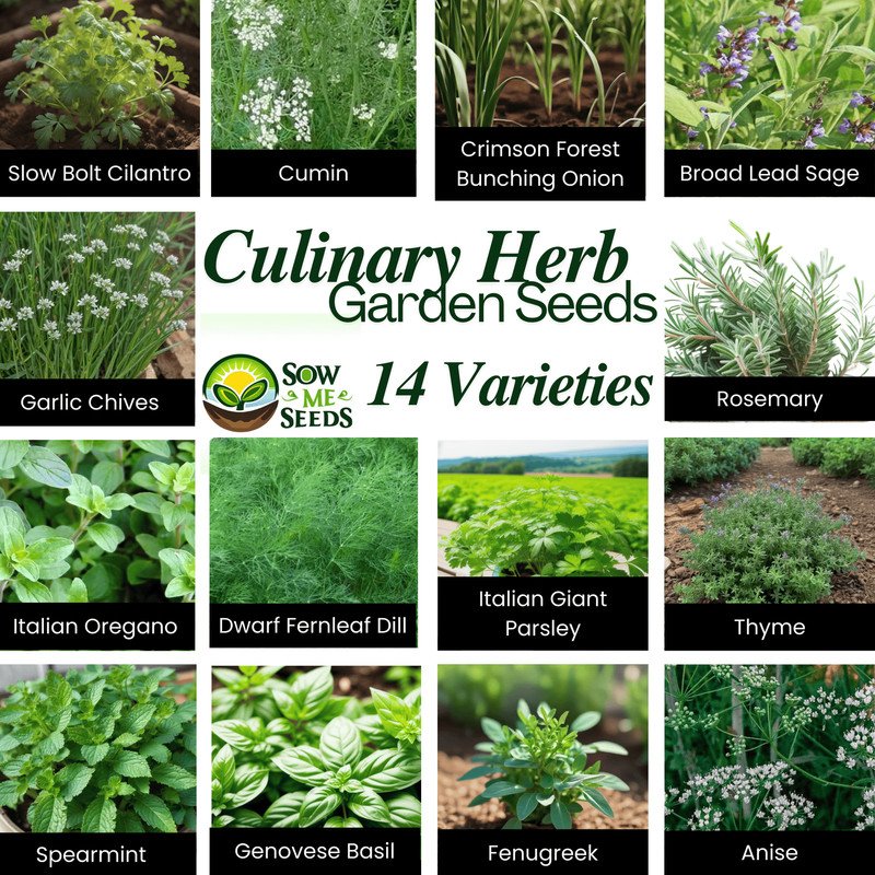 14 culinary herb garden seed bundle - varieties for cooking, baking & herbal tea