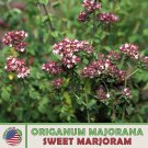 1000 sweet marjoram seeds, origanum majorana, culinary, medicinal, genuine