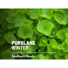 100 seeds purslane, winter (miner's lettuce) - heirloom medicinal & culinary