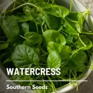 200 seeds watercress (nasturtium officinale) - culinary & medicinal herb