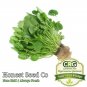 seeds upland pepper cress | non-gmo fresh garden