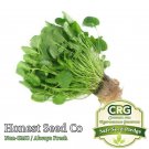 seeds upland pepper cress | non-gmo fresh garden