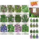 12 indoor herb garden collection: non-gmo seed packets for culinary delights