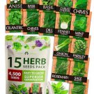 15 seeds culinary herb - heirloom & non gmo high germination rate