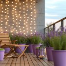 seeds lavender - flower herb