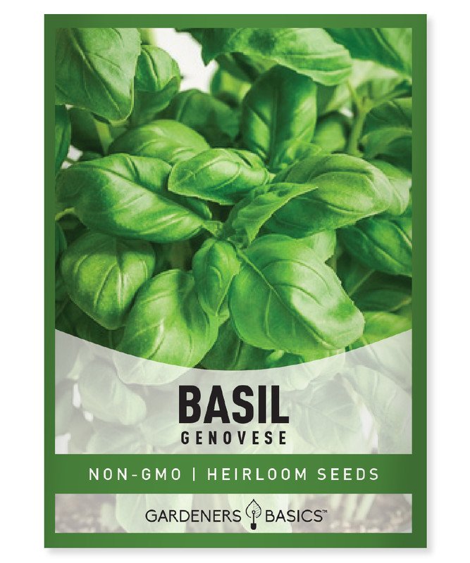 seeds genovese basil