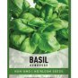 seeds genovese basil