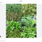 seeds 6 herb indoor type mini packs basil thyme parsley oregano dill cilantro
