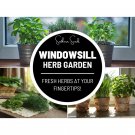 6 windowsill herb seed collection - culinary herbs heirloom non-gmo