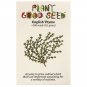 seeds english thyme