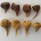 500 seeds peruvian black maca - lepidium meyenii ecotype