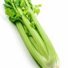 seeds 2000celery tall utah celery heirloom crisp tender texture fresh