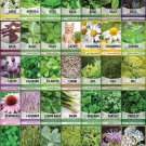 seeds 35 gardeners basics complete medicinal herb for planting collection - best