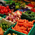 60 10000 seeds direct sow food in days or less  heirloom op non gmo easy garden