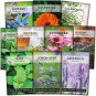 - large herbal tea garden seed collection for planting lemon balm, mint, chamo