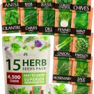 15 seeds culinary herb - heirloom & non gmo high germination rate