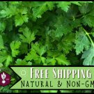 seeds 3500 parsley [italian flat leaf] vegetable gardening, heirloom, non-gmo