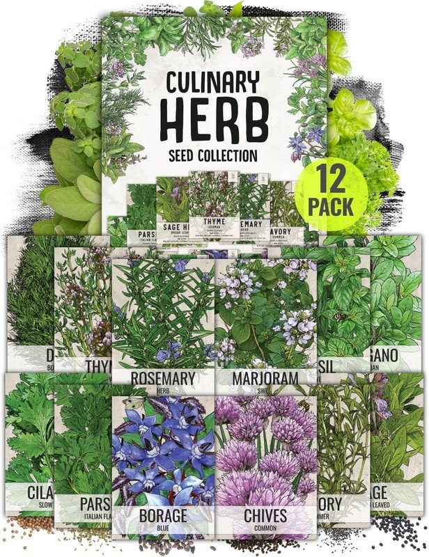 seeds herb variety pack culinary collection (12 individual packets for p...