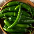 seeds 30 serrano pepper non-gmo fresh for your garden