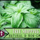 seeds 1,800 basil [genovese] heirloom, non-gmo, natural, garden herb seed pack