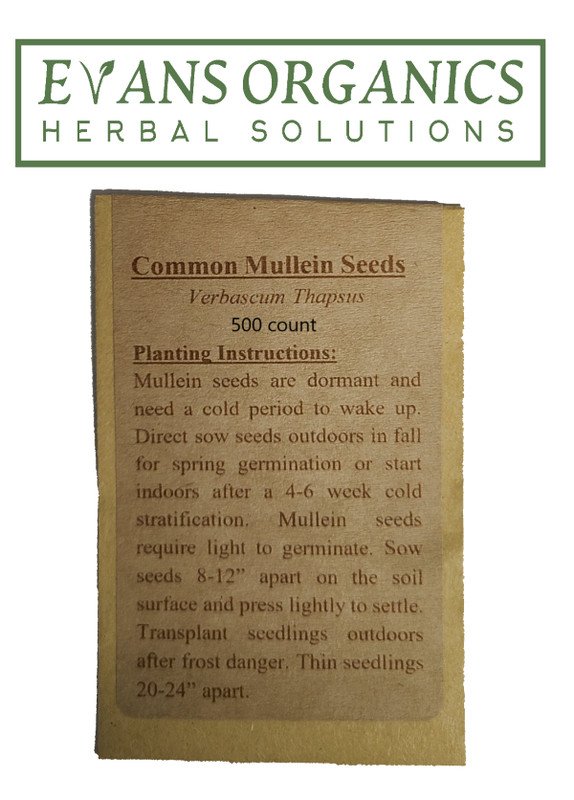 seeds mullein 1000 ct.