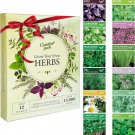 12 seeds grow your own herbs garden kit - herb variety pack basil seeds, mint