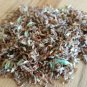 seeds red clover herb 50