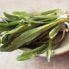 10000 ship 10-gram recao herb seeds; ngo gai / culantro vietnamese parsley