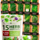 15 seeds culinary herb heirloom non gmo high germination rate for planting