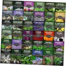 36 seeds ultimate medicinal herbs collection - variety pack of herb for