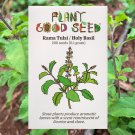 seeds rama holy basil tulsi - certified organic, grow for tincture dried leaf