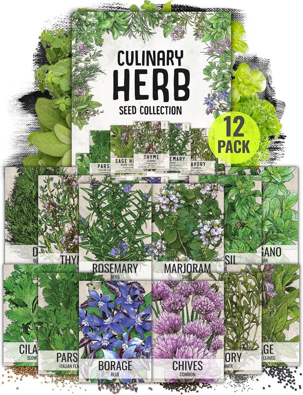 seeds herb variety pack culinary collection (12 individual packets for plan