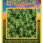 1000 seeds common thyme herb - everwilde farms mylar seed packet