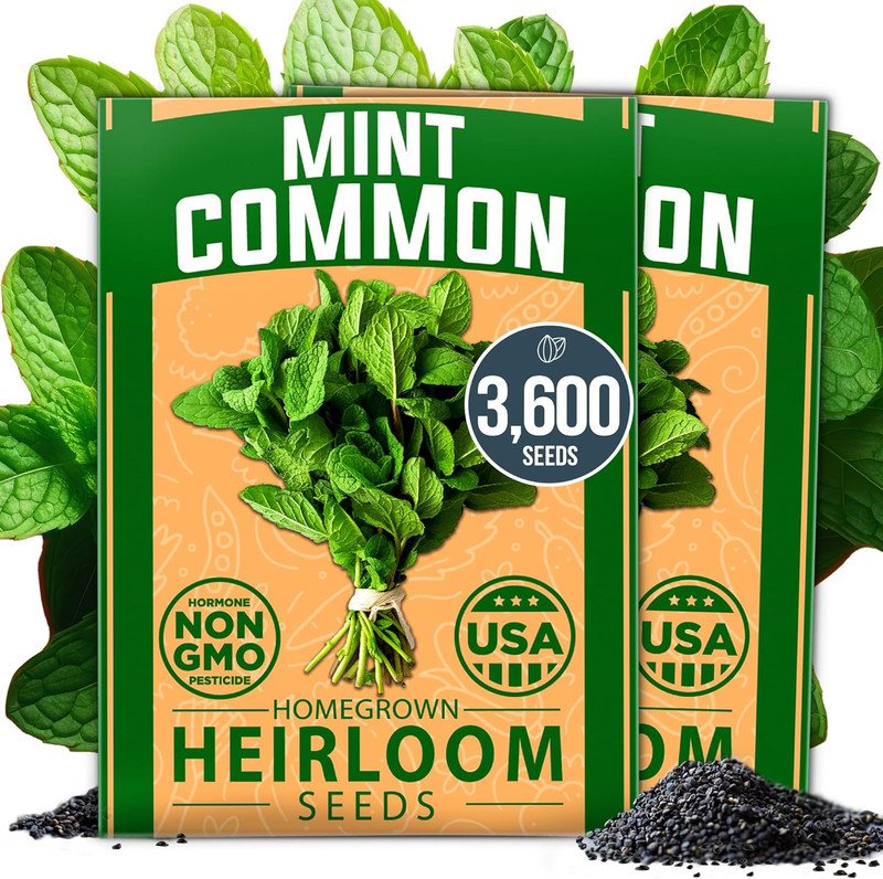seeds 2 3600 premium common mint pack - non-gmo heirloom herb seeds, sourced