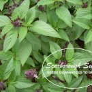 seeds 500 scarborough thai basil heirloom non-gmo fragrant herb from