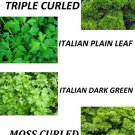 400 seeds gourmet parsley blend - fresh harvest for gardens