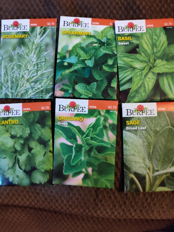 burpee herbs