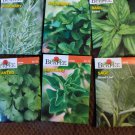 burpee herbs