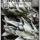 - white sage seed for planting non-gmo heirloom packet with instructions p
