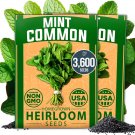 seeds 2 3600 premium common mint pack - non-gmo heirloom herb seeds, sourced