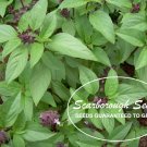seeds 500 scarborough thai basil heirloom non-gmo fragrant herb from