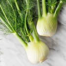seeds fennel - florence 1.gram