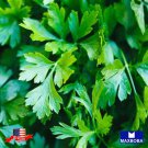 1000 seeds parsley herb giant italian organic non-gmo heirloom bogo 50% off