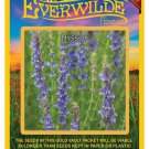 2000 seeds hyssop herb - everwilde farms mylar seed packet