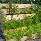 13 herb garden collection, large, heirloom seeds, top varieties of