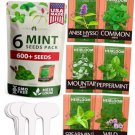seeds 6 (6 variety) mint for planting outdoors or indoors - peppermint,